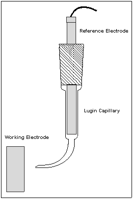 Reference Electrode: Luggin Capillary.