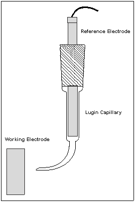 Reference Electrode Conversion Chart