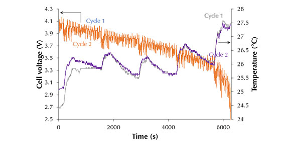 Cell voltage and temperature response