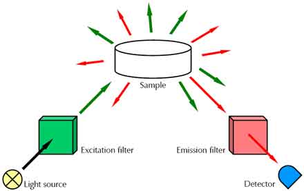 Raman experiment