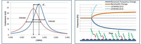 deposition of viscoelastic layer