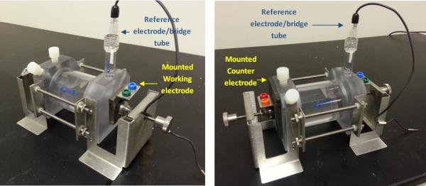 working electrode counter electrode