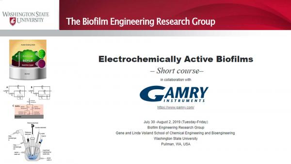 Biofilms WSU ShortCourse 2019