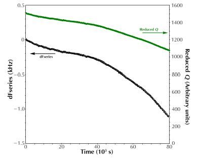 Response to biofilm growth on the QCM