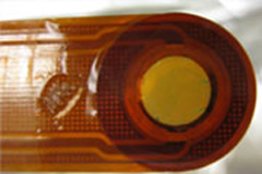 biofilms eqcm