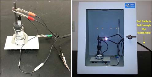 cell prepared for testing