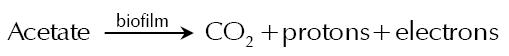 The electrochemical half-reaction occurring at the electrode 
