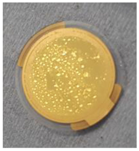 fig8 au sensor surface