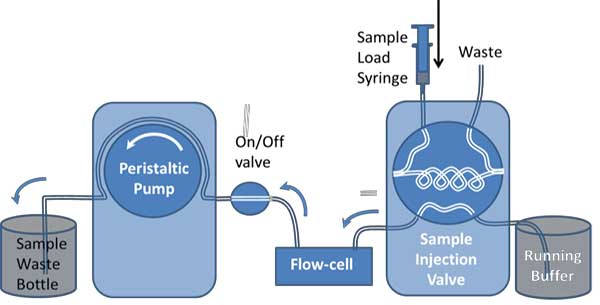 fixed volume sample injection