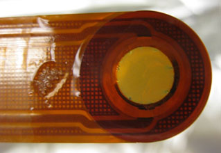 Photograph of biofilm grown on the 10 MHz Au-coated crystal for the eSorptionPro