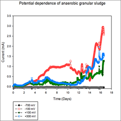 Current Generation of the granular sludge over time