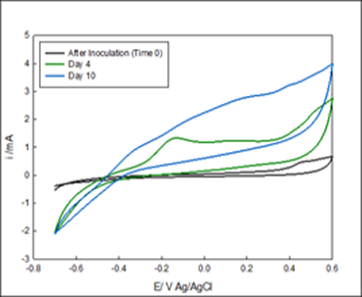 The voltammograms A and B are in the same vessel but under different potentials. 